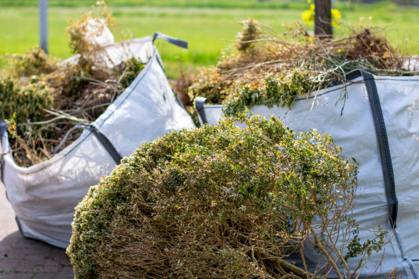 Best Affordable Junk Removal Services  in Ravenna, MI