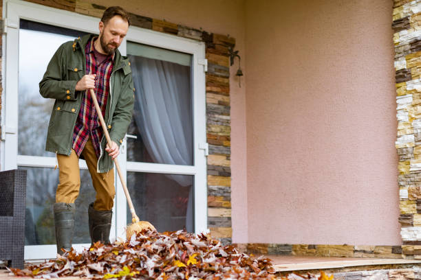 Yard Cleanup Services in Ravenna, MI